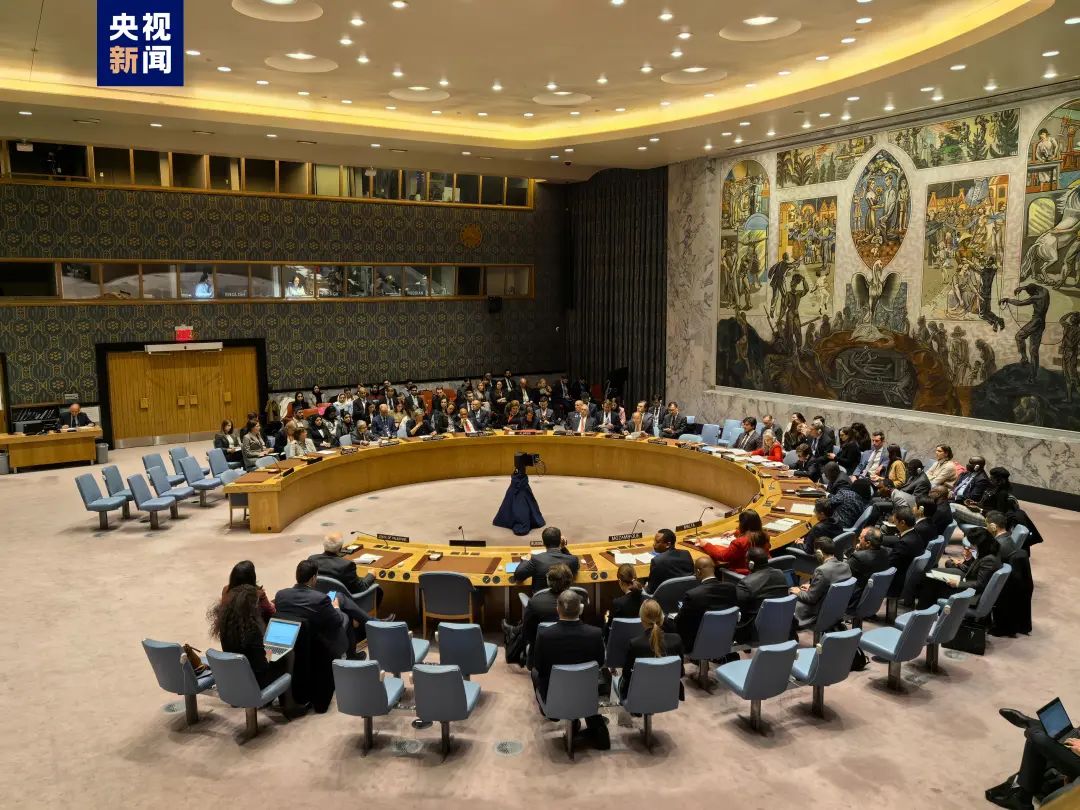 <strong>美国一票否决，中方表示极大失望！</strong>